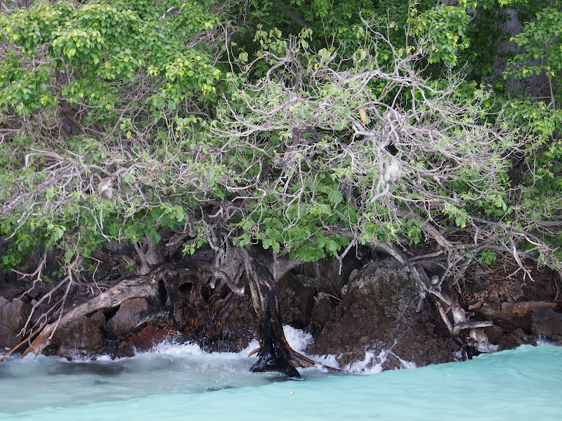 Railay - Islas Phi Phi y lo que queda de la paradisíaca 'La Playa' - Por Tierras de Siam (30)