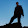 Neal Brooks Neal Brooks's profile photo