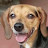 allen bashore avatar image