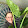 Vanessa Sand Vanessa Sand's profile photo