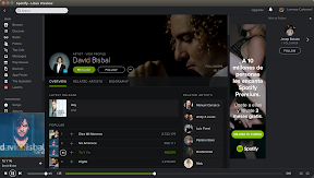 Spotify - Linux Preview_165.png