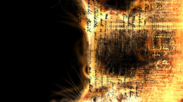 Cover photo