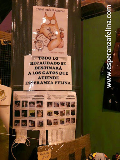 Esperanza Felina en la Feria 100x100 Mascota. Sábado 25 de Mayo 2013. Madrid - Página 4 IMG_0443