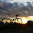 Todd Singleton avatar image