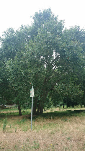 Klaasenbosch greenblet Trail