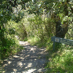Lookout down Lady Darley Lookout track (16957)