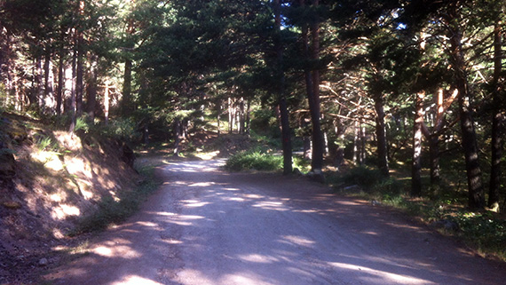 Unas fotos de nuestra ruta por el Carril del Gallo y el Eresma - Julio 2013