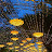 Cassy Ho avatar image
