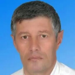 Ahmet Engin