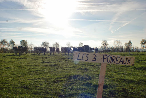 Les 3 poireaux