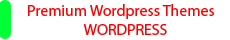 Premium Wordpress Themes 2014