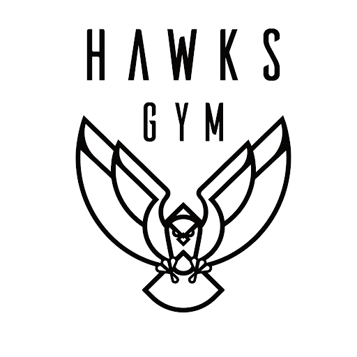 Hawk's Gym & Spa logo