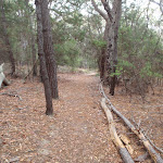 Track from large lookout to car park (107869)