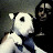 Erika Rahmgren avatar image