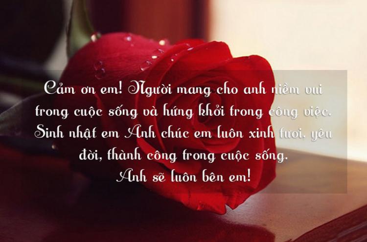 Lời chúc sinh nhật vợ siêu bá đạo, nhí nhảnh.