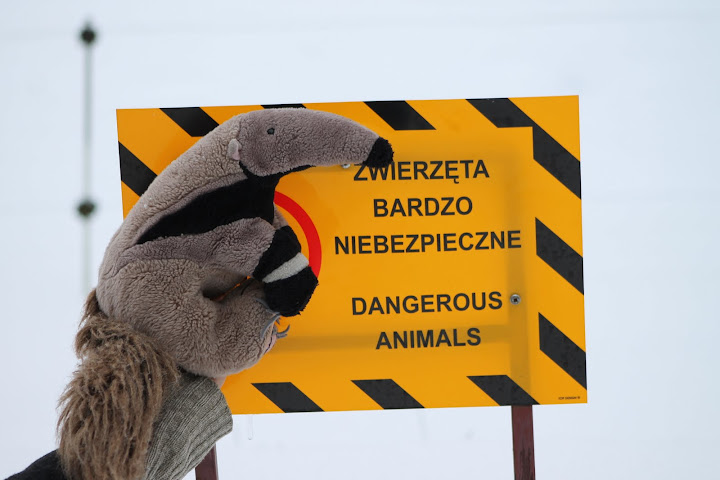 Bardzo niebezpieczne zwierzę?