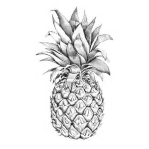 The Pineapple logo