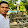 Chanpiseth Chum Chanpiseth Chum's profile photo