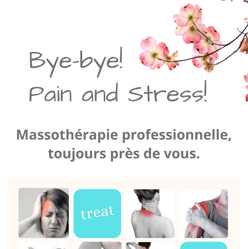 Santé H&H Massage Therapy logo