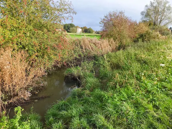 Carlton Hall from Gull Stream