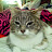 princessjulie372000 review