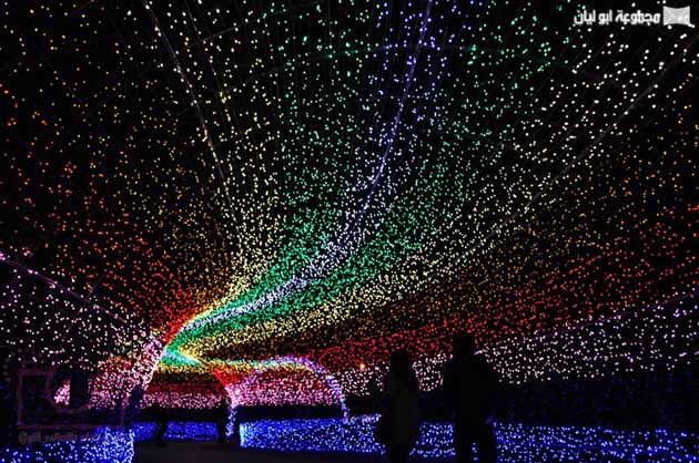 مهرجان ضوء الشتاء في اليابان Nabano-no-sato-tunnel-of-lights-japan