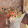 Jennifer Stahl Jennifer Stahl's profile photo