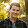 Bayley Boudreau Bayley Boudreau's profile photo