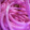 sisie Tyler sisie Tyler's profile photo