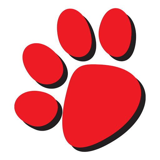 Animal Kingdom logo