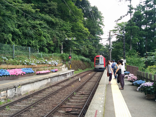 Miyanoshita Station