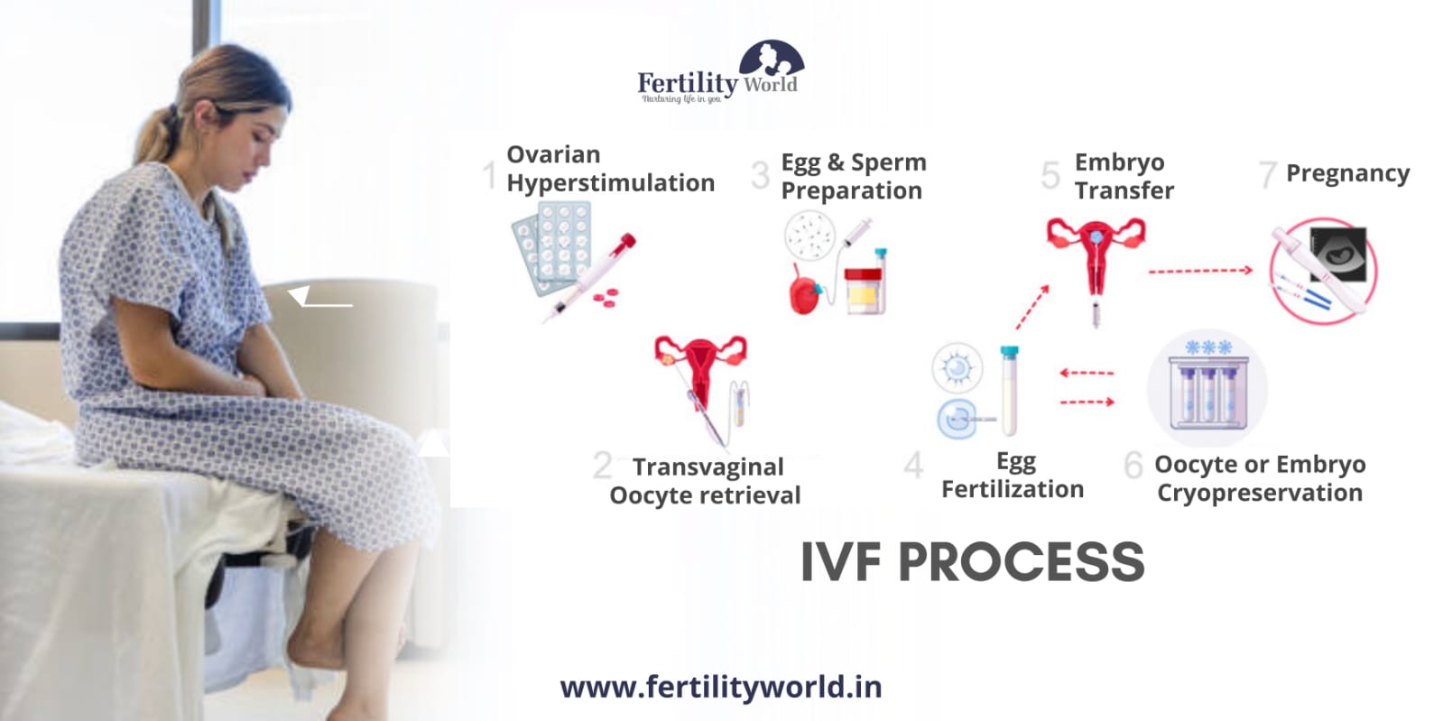 IVF process in Ludhiana