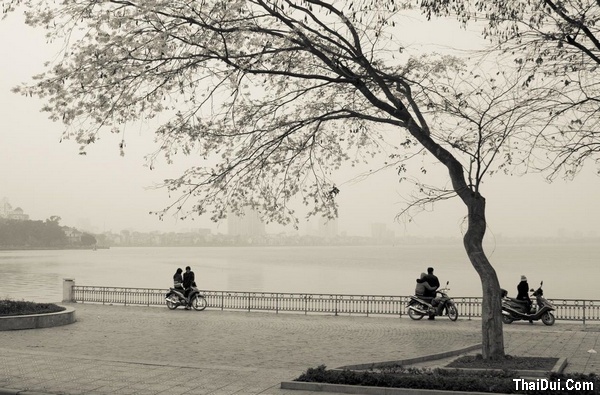Những bài thơ tình yêu Hà Nội mùa Đông hay nhất thơ tình buồn mùa đông Hà Nội