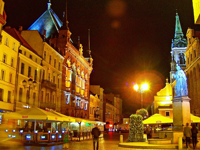 De Gdansk a Cracovia - Blogs de Polonia - Malbork y Torun (3)