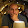 Sharif Aboulnaga Sharif Aboulnaga's profile photo