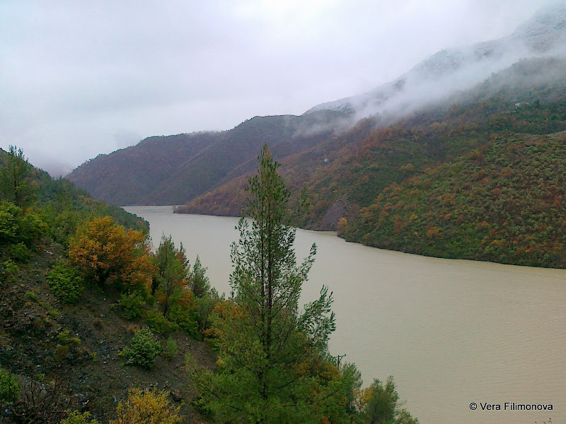 Шкопет, Албания