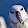 Gus K Gus K's profile photo