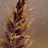 Robert Wiedlin avatar image