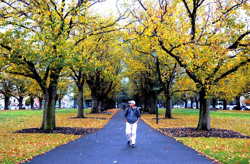 Last Colours of Autumn