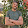 Alberto Trujillo González Alberto Trujillo González's profile photo