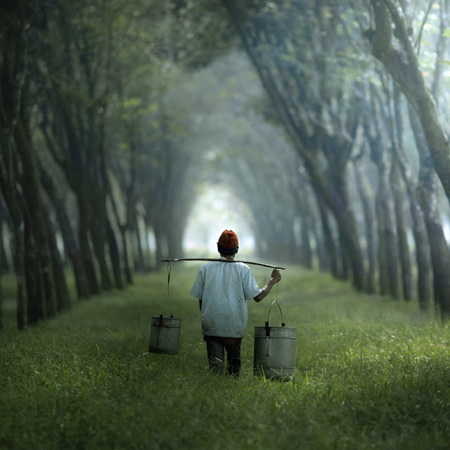 تصوير بجد مبدع من فنان مبدع Beautiful+Photography+by+Asit72421-F