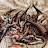 John Raya avatar image