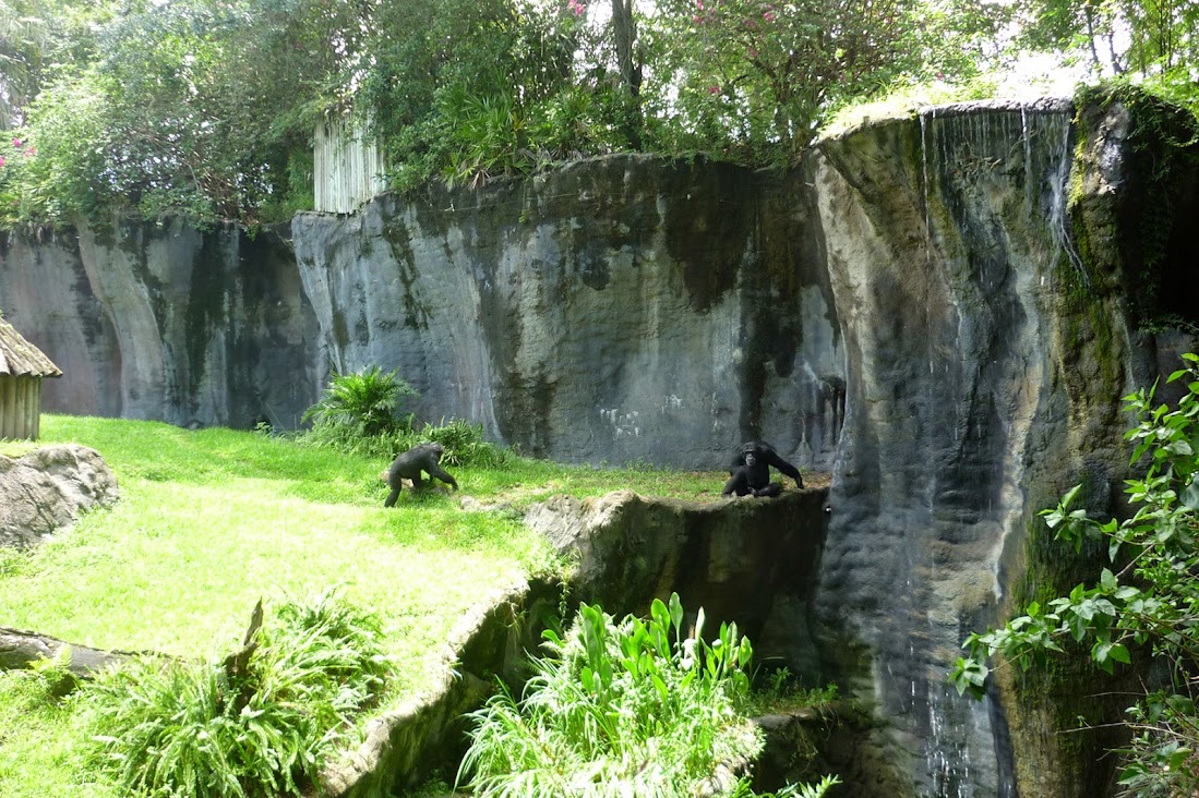 Багамы под небом Норвегии: круиз Norwegian Sky, Нью-Йорк, Ниагара, Тампа, Майами, Key West