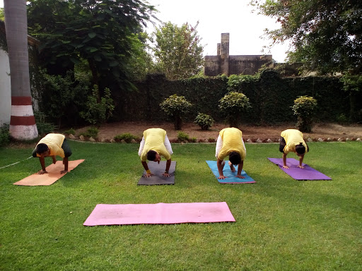 Sivananda Yoga Center Moradabad, Sivananda yoga center mbd, near icici bank u.p., Civil Lines, Moradabad, Uttar Pradesh 244001, India, Physical_Fitness_Programme, state UP