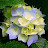 Jennifer Borne avatar image