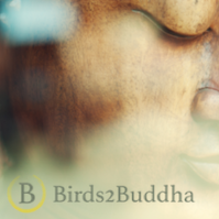 Birds2Buddha yogawebshop & yogalessen logo