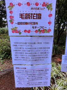 秋の花壇フェア 土曜日は雨でしたので 久々に水戸市植物公園の展示会に行ってきました 癒しの植物達 ビバ つぶやき日記 Masamicchiのブログ 青い風 切って走れ あの島へ