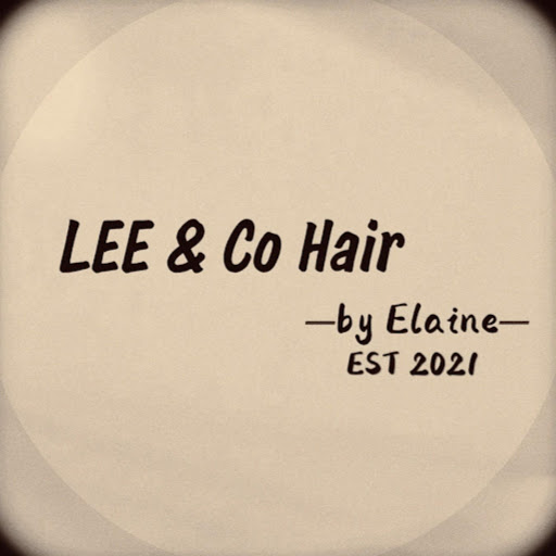 LEE & Co Hair logo