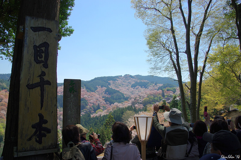 一目千本,歡迎來到櫻花的故鄉:吉野山 (K3 + DA18-270)