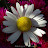 Georgia Conroy avatar image